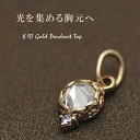 【20%OFFクーポン+3エントリー&楽天カードでP6倍23:59まで】10金 ペンダントトップ チャーム K10 パーツ イエローゴールド 輝きで魅了する ペ...
