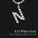 【全品10%OFFクーポン+全品ポイント10倍&ポイントバック祭】18金 ペンダントトップ イニシャル ペンダントトップ “N”18金 ホワイトゴールド K18...