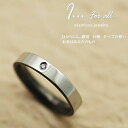 【15%OFFクーポン+WエントリーでP3倍&お買い物マラソン】ステンレスリング ペアリング サージカルステンレス ペアリング レディース メンズ IPR-10...