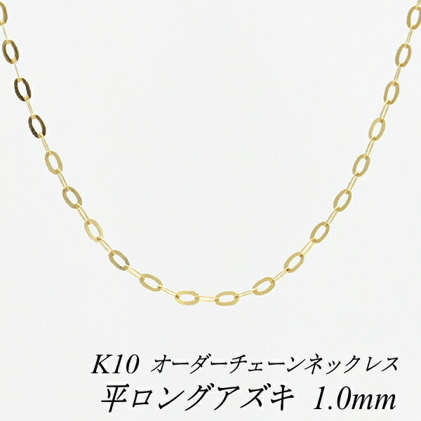 10 K10 10K ʿ󥰥 1.0mm ͥå쥹  Ĺ 40cm120cm  ...