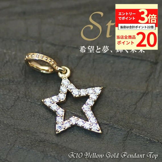 【全品ポイント20倍＆エントリーでポイント3倍23:59まで】10金 ペンダントトップ チャーム パーツ イエローゴールド スター 星 モチーフ ラッキーモチーフ お守りチャーム 10金 K10 ペンダントトップ チャーム TE-6 ペンダントトップのみ ペンダントヘッド