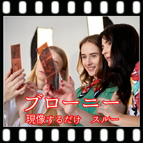 ��Ƚ����� �֥����ˡ� 120 ���顼 �ͥ��ե���� ������������� �� ���롼��220��2��ʬ�˥ե����顼 ����������