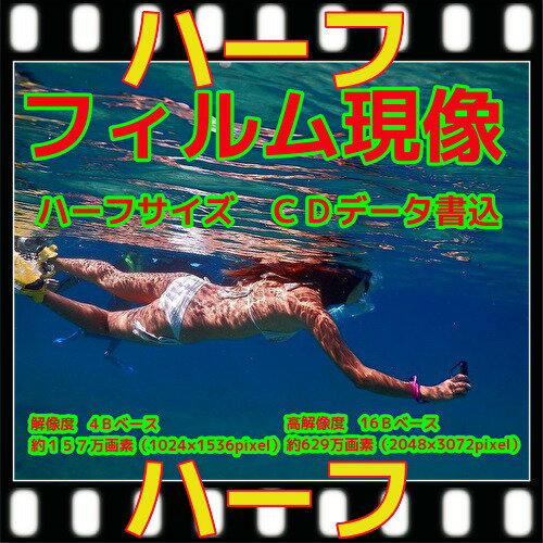 顼ե฽ܣãĽ16Bǥǡ¸ˡWͥǥḁּ̊Ǥϣˡץͥ̿ߥ֥ˡ