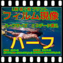 ハーフ カラー ネガフィルム 現像 L版 各1枚 プリント CD書込 高解像度 16Bでデータ保存 フジカラー 純正現像液 写真 同時プリント