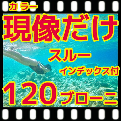 中判カメラ ブローニー 120 カラーネガ フィルム 現像するだけ ＝ スルー インデックス 220は2本分 フジカラー純正現像液 写真 現像