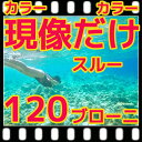 中判カメラ ブローニー 120 カラー ネガフィルム 現像 するだけ = スルー(220は2本分)フジカラー 純正現像液
