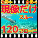 中判カメラ ブローニー 120 カラー ネガフィルム 現像 するだけ ＝ スルー（220は2本分）フジカラー 純正現像液