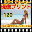 中判カメラ ブローニー120 カラー フィルム 現像 L版 各1枚 プリント インデックス(220は2本分)同時プリント フジカラー 純正現像液 写真 ネガ(現...