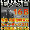 モノクロ　フィルム現像　CD書込　高解像度　16Bベース　データ保存　インデックス　35ミリ・120共通料金　　　220は2本分