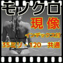 モノクロ フィルム 現像するだけ = 現像のみ = スルー インデックス付(B&W現像) 35ミリ・120共通料金( 220は2本分 )