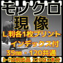モノクロ フィルム現像 L版各1枚プリント インデックス 35ミリ・120共通料金( 220は2本分 )同時プリント(ハーフ、CDデータ付き商品は別出品)
