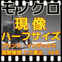 モノクロ フィルム 現像 ハーフ L版各1枚プリント CD書込 高解像度の16Bベースでデータ保存 インデックス 同時プリント 35ミリ・120共通料金