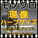モノクロ フィルム ハーフ 現像 L版各1枚プリント インデックス 同時プリント 35ミリ(CDデータ付き商品は別出品)