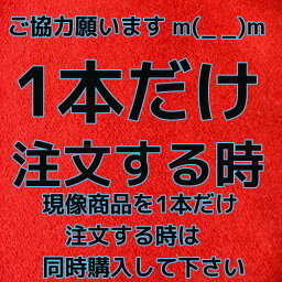 1本注文　追加金 フィルム現像商品　限定