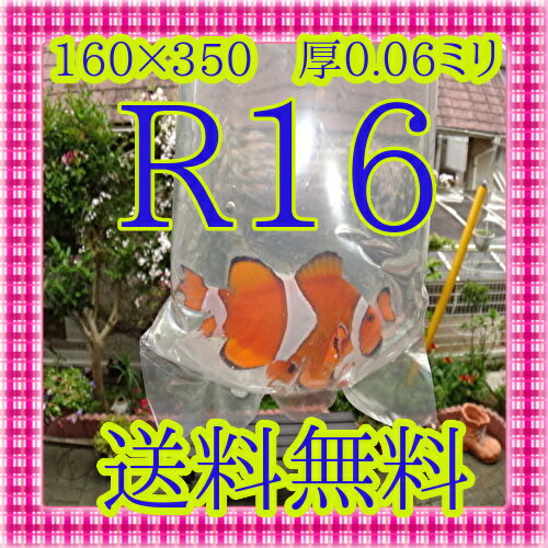 R16-100ӥˡޥѥå