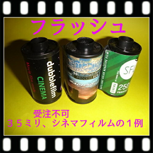 ���ͥޥե���� �ڤӥ��ͥޥե���� �ʤɤΰ����ʵ��إե����ˤĤ��Ƥ�»��������ʡʥ��ͥ����ե����Υޥ�å��������ͥ�������������