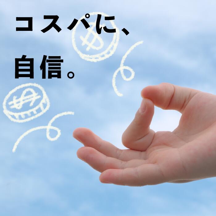 HIDISC SMART MINI コンパクト 10000mAh 高耐圧IC搭載モバイルバッテリー ホワイト HD-NIC10000GFWH