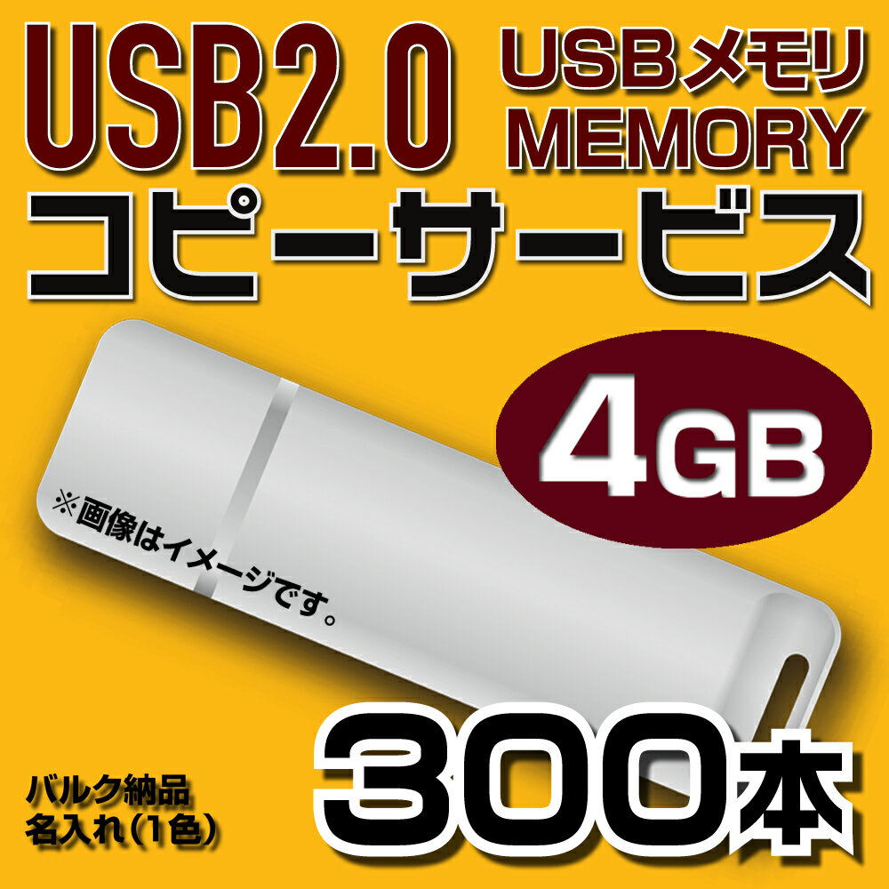 USB4GB　コピーサービス　バルク納品　名入れ(一色)　300本