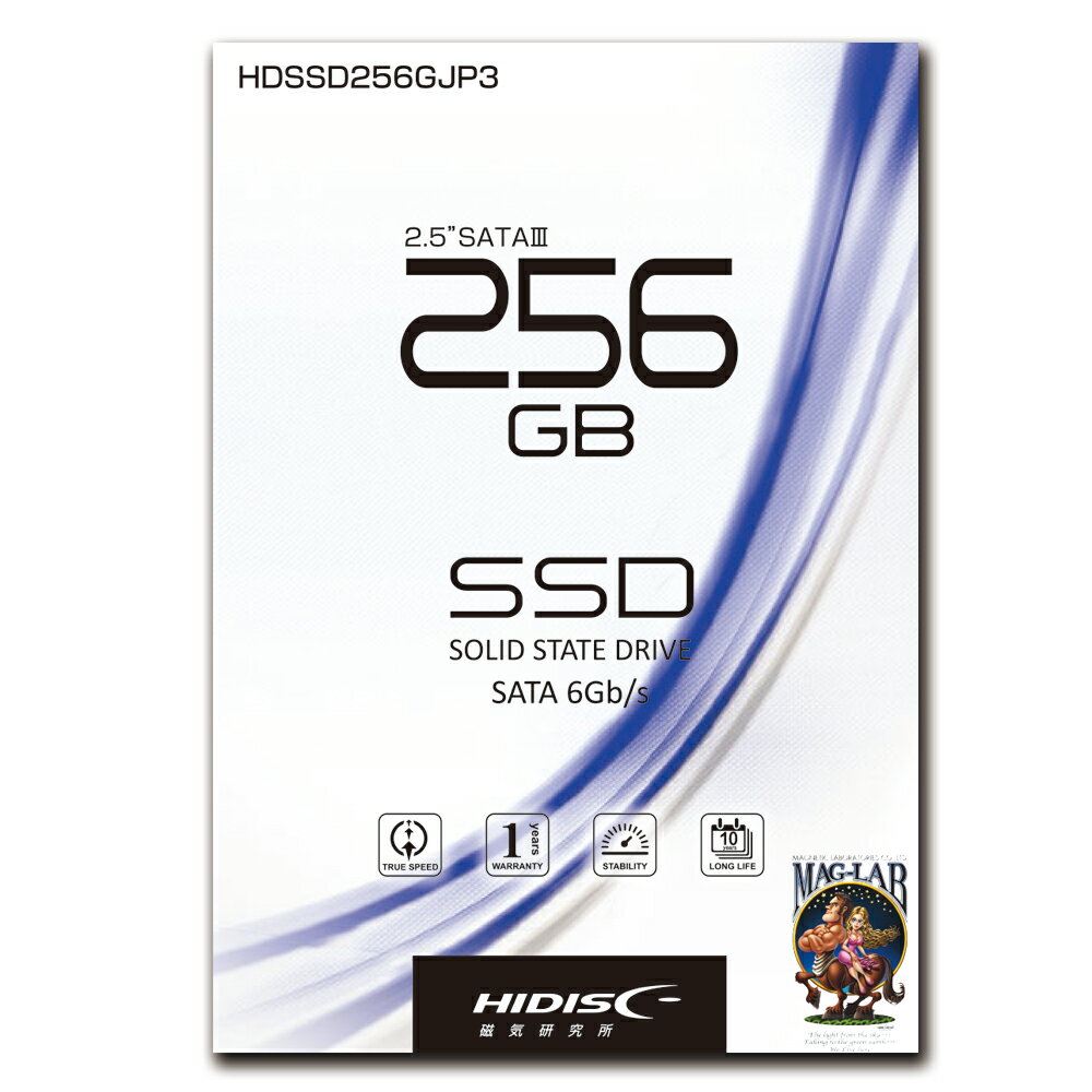 HIDISC 2.5inch SATA SSD 256GB HDSSD256GJP3