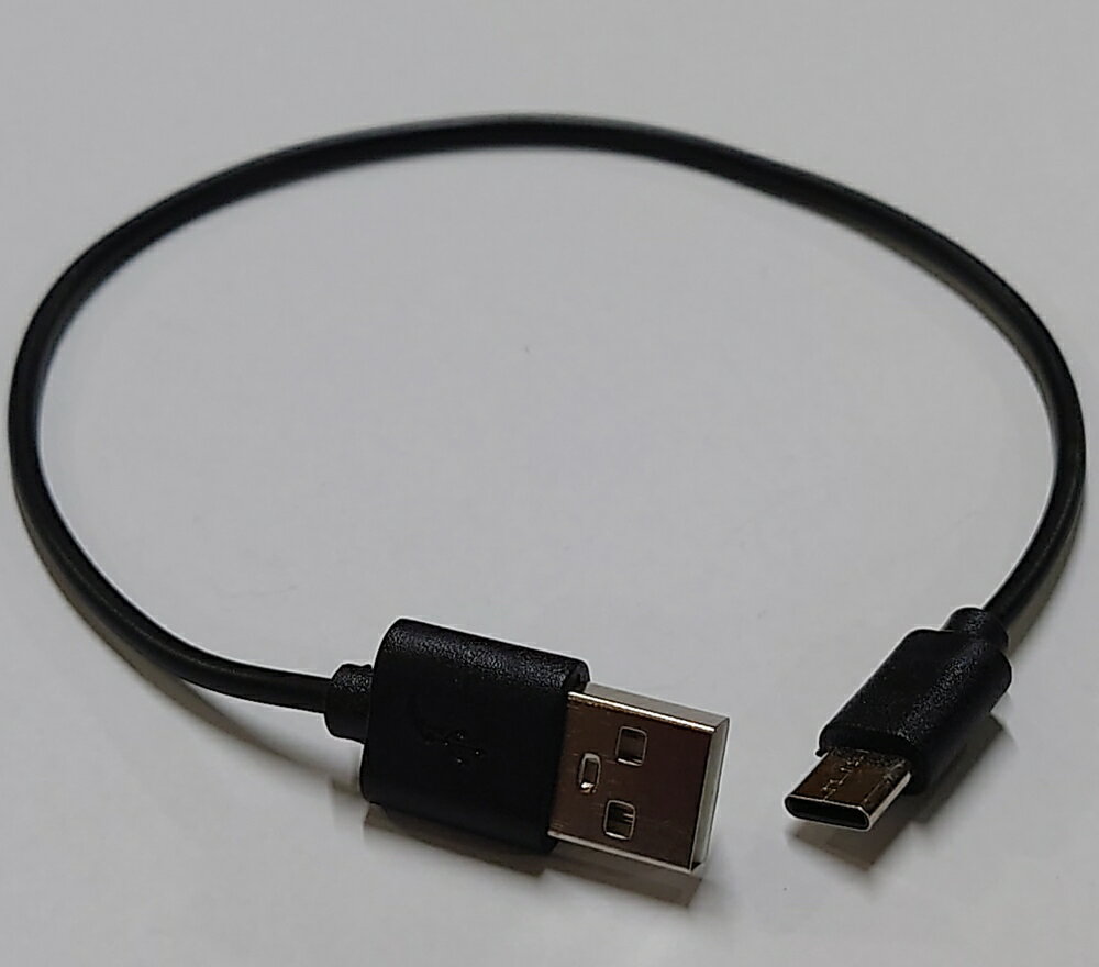 Type-C USBケーブル 0.26m ブラック [バ