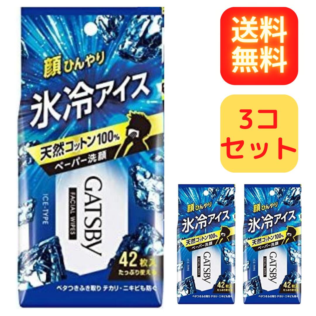 GATSBY ギャツビー フェイシャルペーパー アイスタイプR 3個セット メンズ 洗顔シート 徳用46枚 コンビニ限定 送料無料のサムネイル