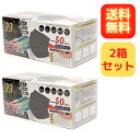 使い捨てマスク ふつうサイズ グレー 2箱セット 不織布マスク カラー 1箱50枚入 マスク カラーマスク 送料無料
