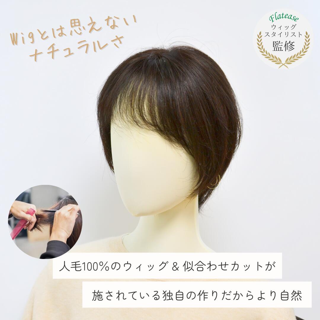 Ƭĺ�����Τ����ˤʤ����ء�ʬ���ܡ��Ĥस��ޤȤ�ƥ��С��ù��ϰϥ��С������å��ʿ���100��ˡ�12��16cm�ۥߥǥ�����إ��� ���꿢�� �͹����椢�� ȱ��æ�Ӥ����Ӥ�Ǻ�ߤ� ���̤�¿�ᡡ���ä��ꥫ�С����������ˤ������ᡪ��������ͤΥإ��ԡ��� ��˾�̤��̵�����å�