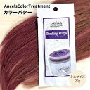 【ミニサイズ】エンシェールズ カラーバター カラートリートメント 20g ミニサイズ AncelsColorTreatment インナーカラー ポイントカラー フラッシュピンク パープル マンゴーオレンジ ヘンプグリーン オーシャンブルー おうちケア その1