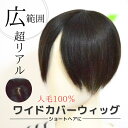 人毛100% ワイドカバーウィッグ 大15cm☆ ヘアピース 人毛 部分ウィッグ リアルスキン つむじ付き ウィッグ 自然 前髪 ワンタッチ 女性 部分かつら 白髪隠し 分け目 トップピース 医療用部分ウィッグ