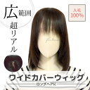 【返品交換OK！送料無料】人毛 部分ウィッグ【25cm】部分ウィッグ 人毛 ウィッグ かつら ポイントウィッグ 白髪かくし つけ毛 トップカバー 女性 レディース つむじ付き 自然 ナチュラル 白髪隠し 白髪カバー セミロング ふんわり 薄毛対策 BAZF710-25