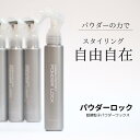 デザインファクトリー パウダ-ロック100ml シトラスの香り シュワルツコフ 超微粒子 パウダー ワックス 粉末 ヘアワックス ミネラル成分100% 整髪剤
