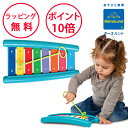 ボーネルンド 鉄琴 ハリリット 楽器 おもちゃ シロフォン 誕生日プレゼント 1歳 ハーフバースデー 出産祝い 男の子 女の子 てっきん 楽器のおもちゃ Hal...