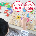 エドインター 木のパズル A・B・C 木製パズル 木のおもちゃ 木製玩具 型はめパズル ペグパズル ピックアップパズル アルファベット 知育玩具 3歳 誕生日プレゼント ハーフバースデー プレゼント 男の子 女の子 誕生日 GENI ジェニ 813942