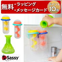 正規品 Sassy(サッシー) [おふろラボ] [あす楽対応] お風呂 おもちゃ ハーフバースデー バストイ 誕生日プレゼント 1歳 男の子 女の子 知育玩具