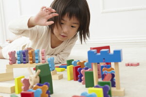 エドインタードキドキドミノ積み木/つみき/ドミノ/木のおもちゃ/木製玩具
