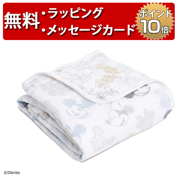 日本正規品 aden+anais(エイデンアンドアネイ) ディズニーコレクション ミニ ドリームブランケット [mickey + minnie] [あす楽対応] ブランケット ベビー ひざ掛け ミッキー ミニー 出産祝い ハーフバースデー プレゼント 男の子 女の子のサムネイル