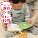 エドインター いないいないばあ 布絵本 布えほん 出産祝い 誕生日プレゼント 1歳 知育玩具 ハーフバースデー ベビーカー おもちゃ プレゼント しかけ絵本 誕...