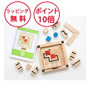 エドインター ルートファインダー 脳トレパズル×アプリ 誕生日 3歳 知育玩具 木製 誕生日プレゼント 学習玩具 男の子 女の子 GENI ジェニ エド・インタ...