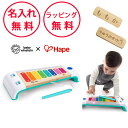 マジックタッチ・もっきん ベビーアインシュタイン×ハペ 楽器 おもちゃ 1歳 誕生日プレゼント Hape baby einstein 木琴 ハーフバースデー 出産祝い 男の子 女の子 無料 名入れ