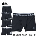 2024 Quiksilver NCbNVo[ Ci[ Y QS LOGO A_[V[c T[tCi[ (QUD241023)