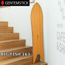 24-25 GENTEMSTICK ゲンテンスティック スノーボード BIG FISH 163 ship1