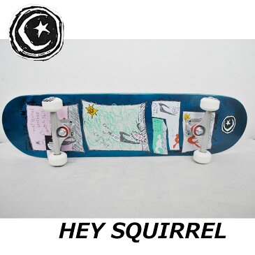 スケートボード コンプリート FOUNDATION ファンデーション HEY SQUIRREL 8.0 スケボー 完成品 純正品 ship1