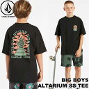 {R VOLCOM LbY TVc 2022t Big Boys Altarium SS Tee 7-15 C3522233yԕiOUTLETz