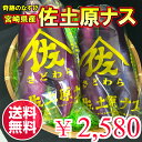 佐土原なす