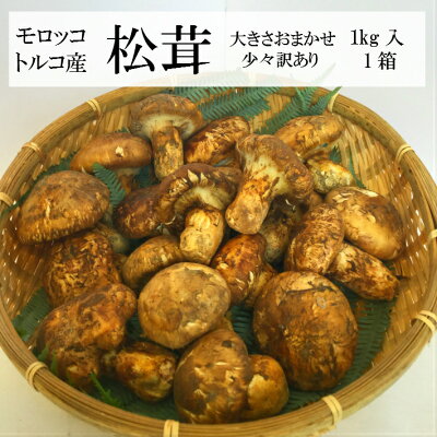トルコ モロッコ産 松茸 大きさおまかせ少々訳あり1kg入1箱 松茸を10倍楽しむ方法
