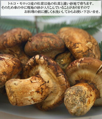 トルコ モロッコ産 松茸 大きさおまかせ少々訳あり1kg入1箱 松茸を10倍楽しむ方法