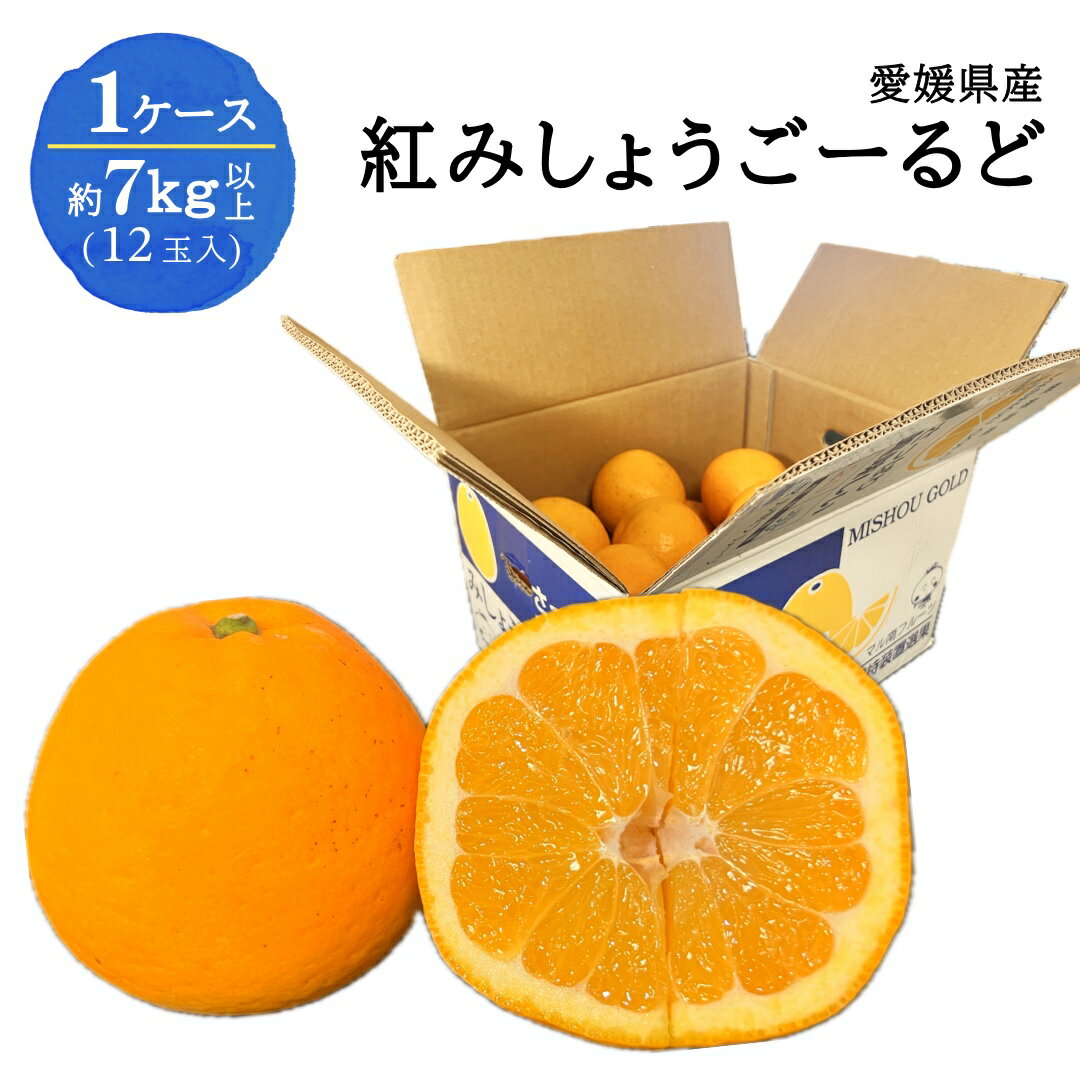 愛媛県産 紅みしょうごーるど 1ケース 約7kg 12玉入 和製グレープフルーツ フルーツ 果物 蜜柑 お中元 父の日