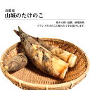 京都産 山城のたけのこ 大きさおまかせ 約4kg