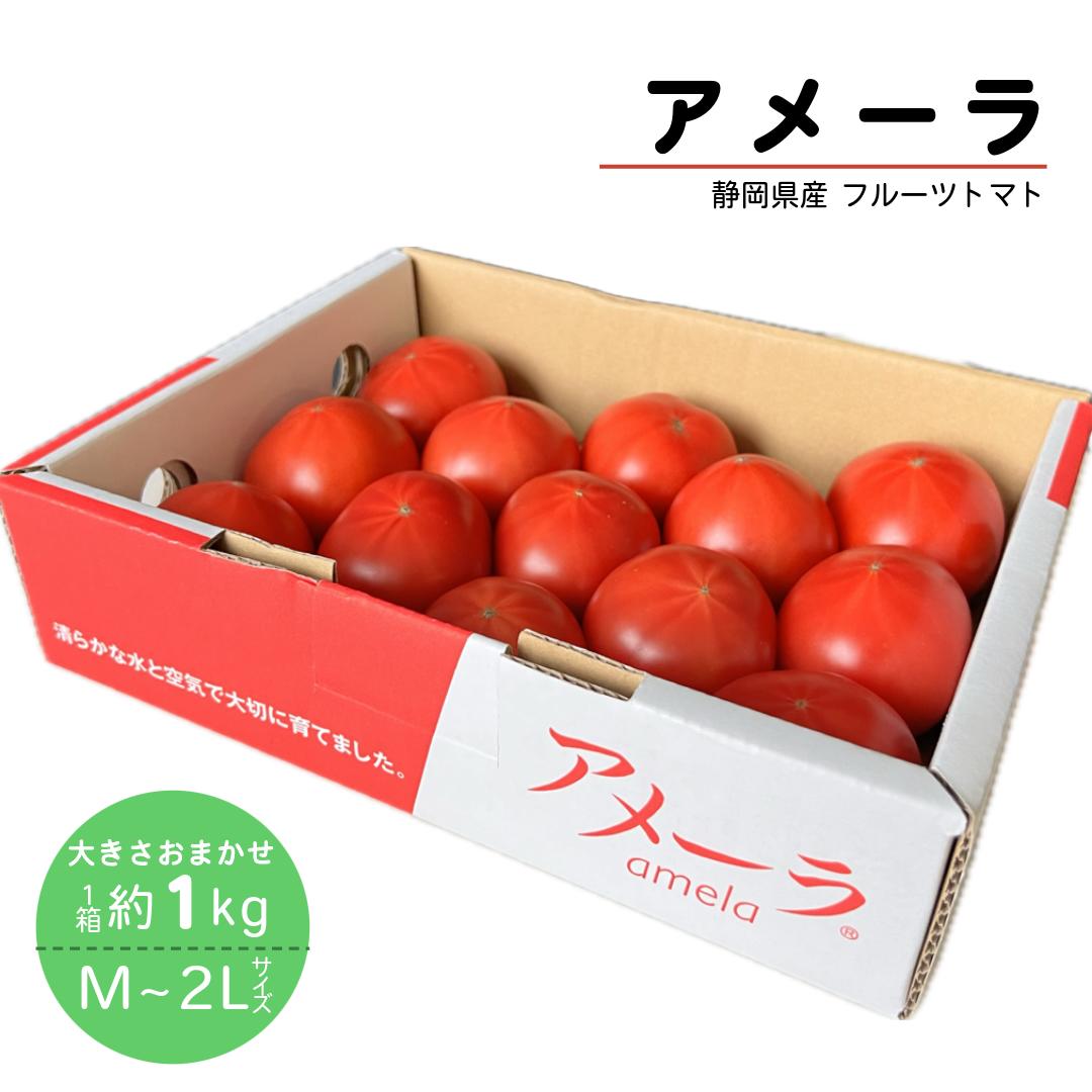 静岡県産 フルーツトマト アメーラ 1箱 約1kg サイズおまかせ!!(M~2Lサイズ)...