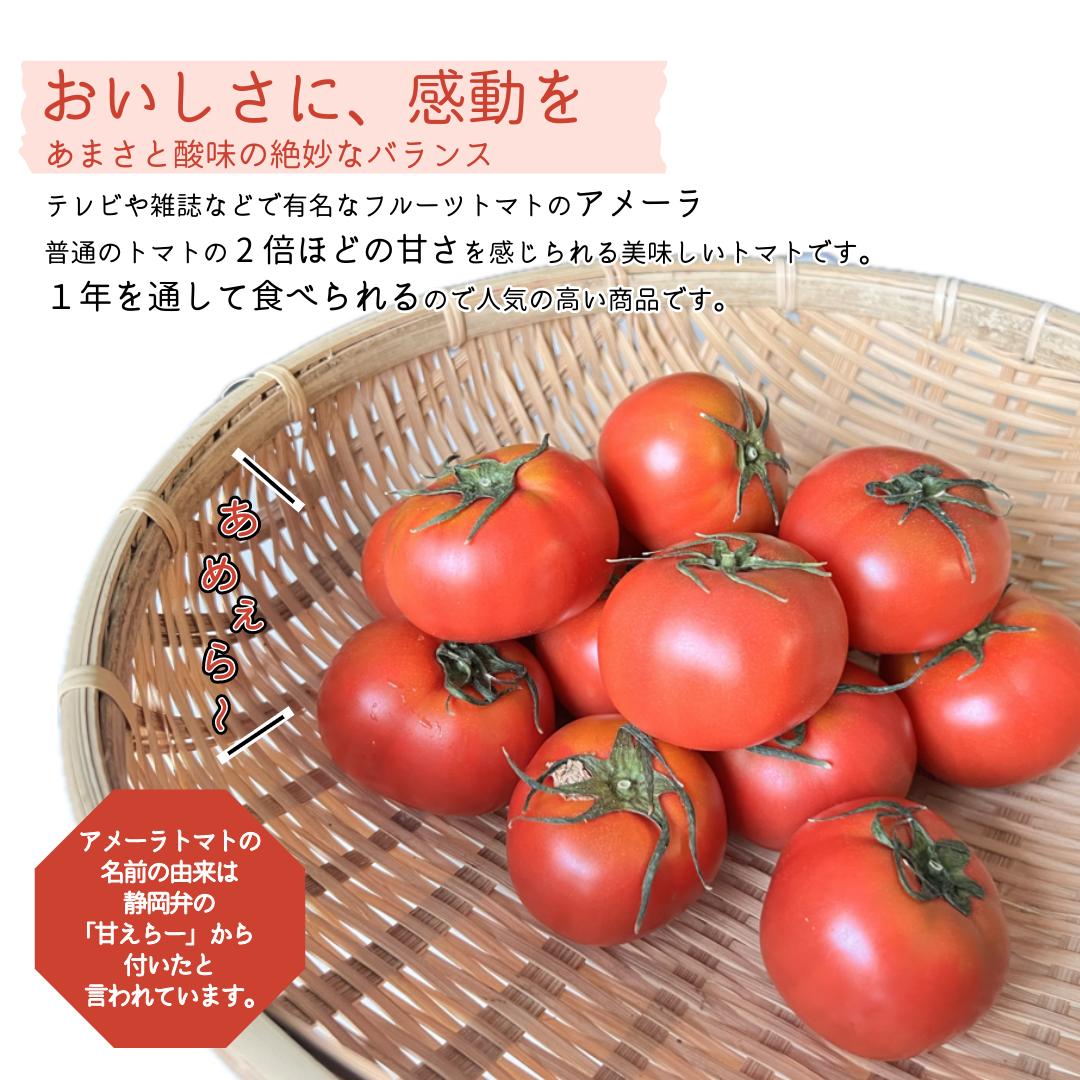 フルーツトマト アメーラトマト 高糖度 静岡県産 約1kg 1箱 サイズおまかせ S~2Lサ...